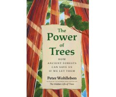 THE POWER OF TREES. HOW ANCIENT FORESTS CAN SAVE US IF WE LET THEM