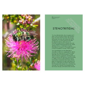 BEES OF THE WORLD. A GUIDE TO EVERY FAMILY_1