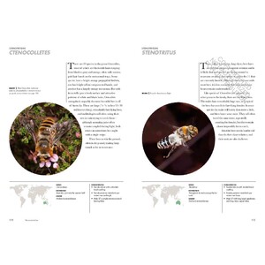 BEES OF THE WORLD. A GUIDE TO EVERY FAMILY 3