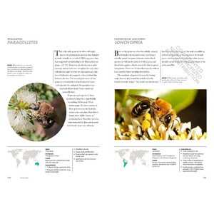 BEES OF THE WORLD. A GUIDE TO EVERY FAMILY 6