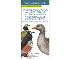 AVES DE VILLAFÀFILA, LA NAVA, BOADA, EL OSO Y ESTEPAS Y HUMEDALES DE CASTILLA Y LEÓN. INTRODUCCIÓN A LAS ESPECIES MÁS FRECUENTES. GUÍAS DESPLEGABLES T