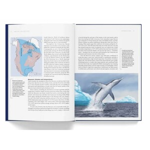 ANCIENT SEA REPTILES. PLEIOSAURS, ICHTHYOSAURS, MOSASAURS & MORE 3