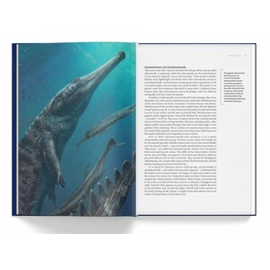 ANCIENT SEA REPTILES. PLEIOSAURS, ICHTHYOSAURS, MOSASAURS & MORE 4
