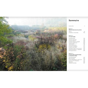 JARDINS NATURALISTES - LES MEILLEURES PLANTES VIVACES_1