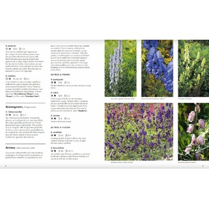 JARDINS NATURALISTES - LES MEILLEURES PLANTES VIVACES 3