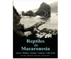 REPTILES DE MACARONESIA, AZORES, MADEIRA, SALVAJES, CANARIAS, CABO VERDE Y LITORAL SÁHARA ATLÁNTICO