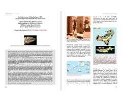 REPTILES DE MACARONESIA, AZORES, MADEIRA, SALVAJES, CANARIAS, CABO VERDE Y LITORAL SÁHARA ATLÁNTICO 3