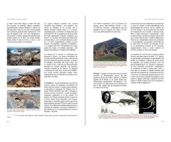 REPTILES DE MACARONESIA, AZORES, MADEIRA, SALVAJES, CANARIAS, CABO VERDE Y LITORAL SÁHARA ATLÁNTICO 4