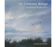 ON CRESCENT WINGS. A PORTRAIT OF THE SWIFT