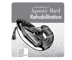 AN INTRODUCTION TO AQUATIC BIRD REHABILITATION