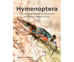 HYMENOPTERA THE NATURAL HISTORY BAND DIVERSITY OF WASPS, BEES AND ANTS
