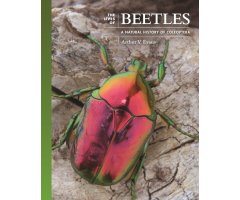 THE LIVES OF BEETLES. A NATURAL HISTORY OF COLEOPTERA