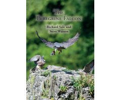 THE PEREGRINE FALCON