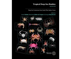 TROPICAL DEEP-SEA BENTHOS VOL. 33