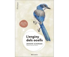 L\'ENGINY DELS OCELLS