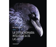 LA EXTRAORDINARIA INTELIGENCIA DE LAS AVES