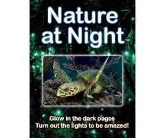 NATURE AT NIGHT