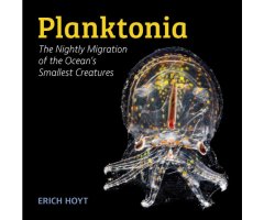 PLANKTONIA. THE NIGHTLY MIGRATION OF THE OCEAN\'S SMALLEST CREATURES