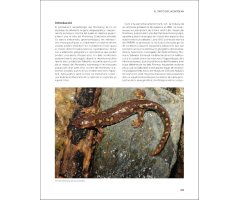 EL TRITÓ DEL MONTSENY I ELS AMFIBIS I RÈPTILS DEL PARC NATURAL I LA RESERVA DE LA BIOSFERA DEL MONTSENY 2