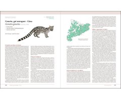 GRANS MAMÍFERS DE CATALUNYA I ANDORRA. DISTRIBUCIÓ, BIOLOGIA, ECOLOGIA I CONSERVACIÓ_1