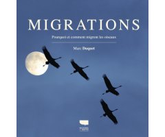 MIGRATIONS. POURQUOI ET COMMENT MIGREN LES OISEAUX