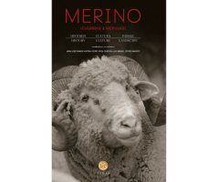 MERINO (CHURRAS & MERINAS)