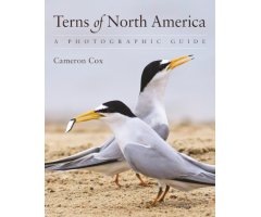 TERNS OF NORTH AMERICA. A PHOTOGRAPHIC GUIDE