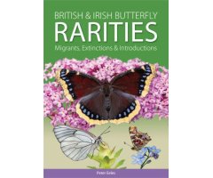 BRITISH & IRISH BUTTERFLY RARITIES. MIGRANTS, EXTINCTIONS & INTRODUCCIONS