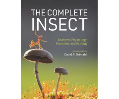 THE COMPLETE INSECT: ANATOMY, PHYSIOLOGY, EVOLUTION, AND ECOLOGY