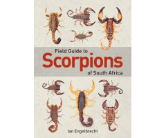 FIELD GUIDE SCORPIONS OF SOUTH AFRICA