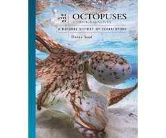 THE LIVES OF OCTOPUSES AND THEIR RELATIVES: A NATURAL HISTORY OF CEPHALOPODS