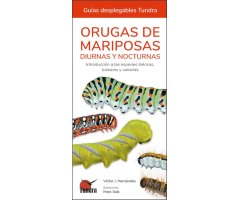ORUGAS DE MARIPOSAS DIURNAS Y NOCTURNAS. INTRODUCCIÓN A LAS ESPECIES IBÉRICAS, BALEARES Y CANARIAS. GUÍAS DESPLEGABLES TUNDRA