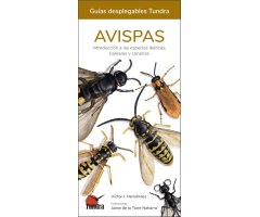 AVISPAS. INTRODUCCIÓN A LAS ESPECIES IBÉRICAS, BALEARES Y CANARIAS. GUÍAS DESPLEGABLES TUNDRA