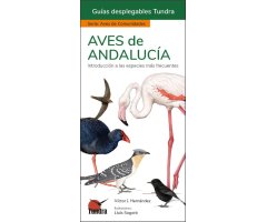 AVES DE ANDALUCÍA. INTRODUCCIÓN A LAS ESPECIES MÁS FRECUENTES. GUÍAS DESPLEGABLES TUNDRA