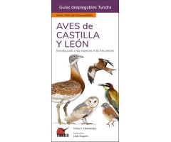 AVES DE CASTILLA Y LEÓN. INTRODUCCIÓN A LAS ESPECIES MÁS FRECUENTES. GUÍAS DESPLEGABLES TUNDRA
