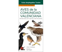 AVES DE LA COMUNIDAD VALENCIANA. INTRODUCCIÓN A LAS ESPECIES MÁS FRECUENTES. GUÍAS DESPLEGABLES TUNDRA