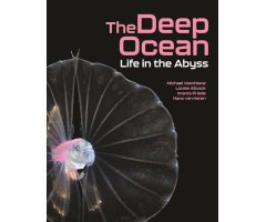 THE DEEP OCEAN. LIFE IN THE ABYSS