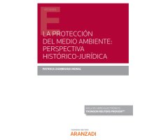 LA PROTECCIÓN DEL MEDIO AMBIENTE: PERSPECTIVA HISTÓRICO-JURÍDICA