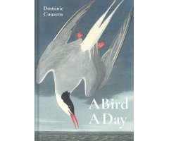 A BIRD A DAY