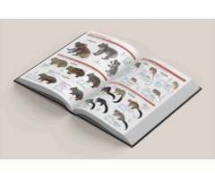 ALL THE MAMMALS OF THE WORLD 2