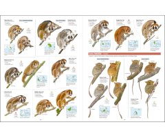ALL THE MAMMALS OF THE WORLD 5