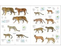 ALL THE MAMMALS OF THE WORLD 7
