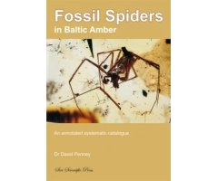 FOSSIL SPIDERS IN BALTIC AMBER