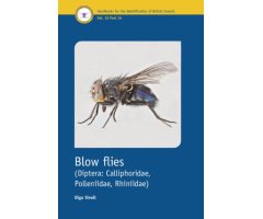 BLOW FLIES (DIPTERA: CALLIPHORIDAE, POLLENIIDAE, RHINIIDAE). HANDBOOKS FOR THE IDENTIFICATION OF BRITISH INSECTS VOL.10 PART 16