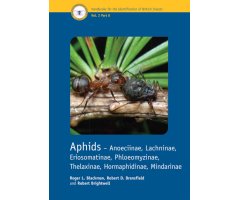 APHIDS - ANOECIINAE, LACHNINAE, ERIOSOMATINAE, PHLOEOMYZINAE, THELAXINAE. HORMAPHIDINAE, MINDARINAE. HANDBOOKS FOR THE IDENTIFICATION OF BRITISH INSEC