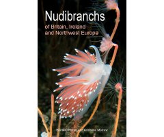 NUDIBRANCHS OF BRITAIN, IRELAND AND NORTHWEST EUROPE