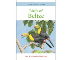 BIRDS OF BELIZE. PRINCETON FIELD GUIDES