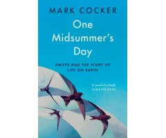 ONE MIDSUMMER'S DAY. SWIFTS AND THE STORY OF LIFE ON EARTH