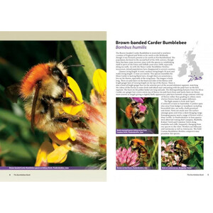 THE BUMBLEBEE BOOK. A GUIDE TO BRITAIN & IRELAND'S BUMBLEBEES_1