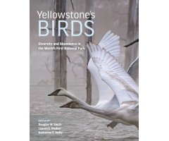 YELLOWSTONE'S BIRDS: DIVERSITY AND ABUNDANCE IN THE WORLD'S FIRST NATIONAL PARK